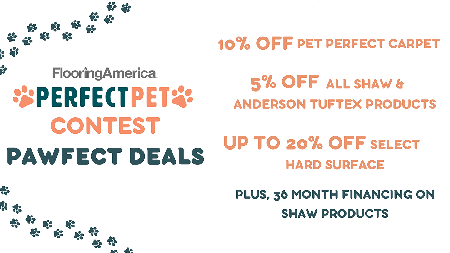 Pet Deals